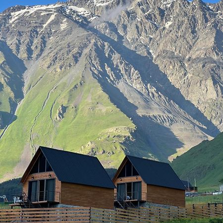 Traveler'S Cottages In Kazbegi Exteriér fotografie