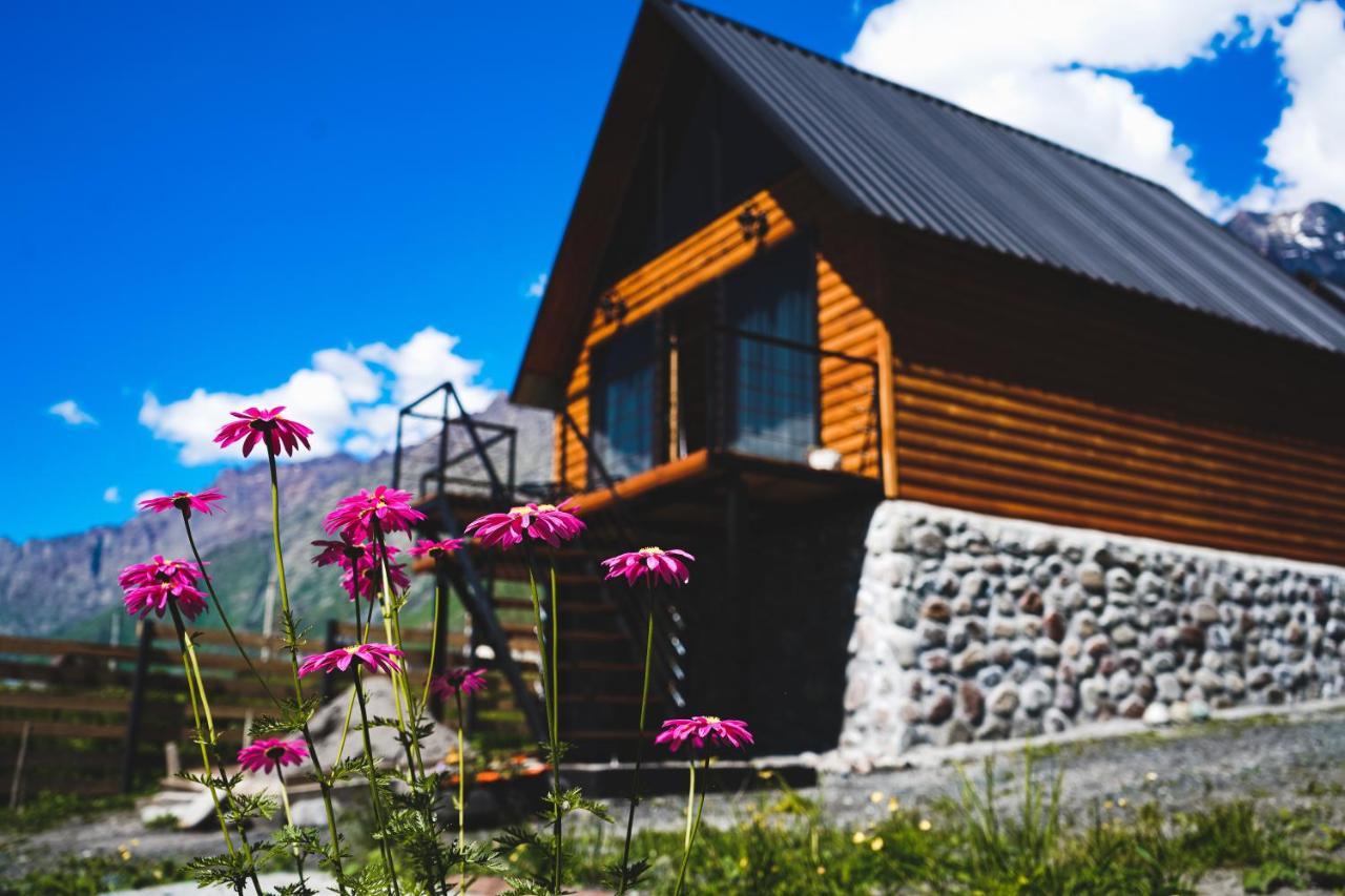 Traveler'S Cottages In Kazbegi Exteriér fotografie